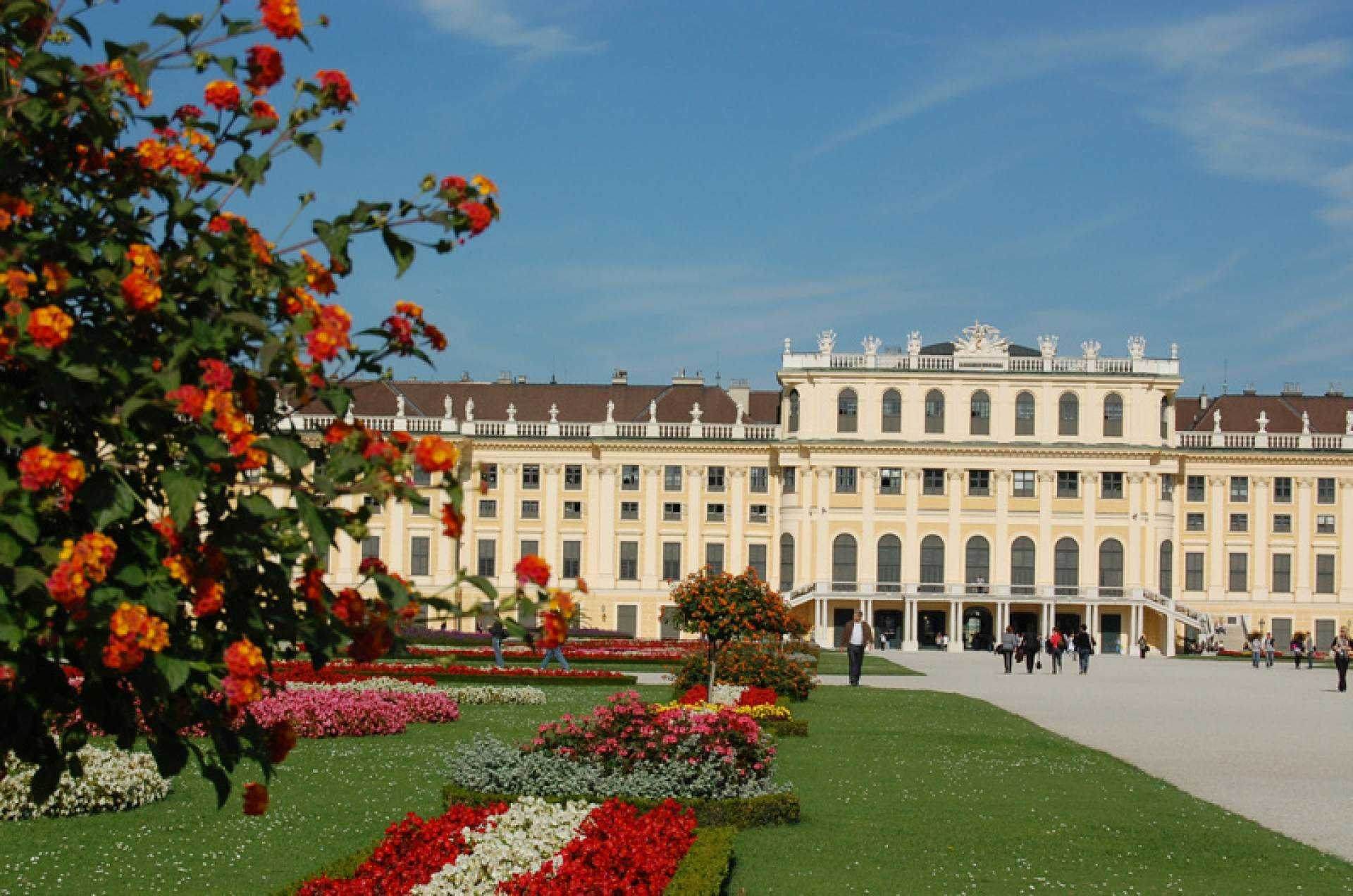 Visita al Palacio de Schönbrunn, cena y concierto