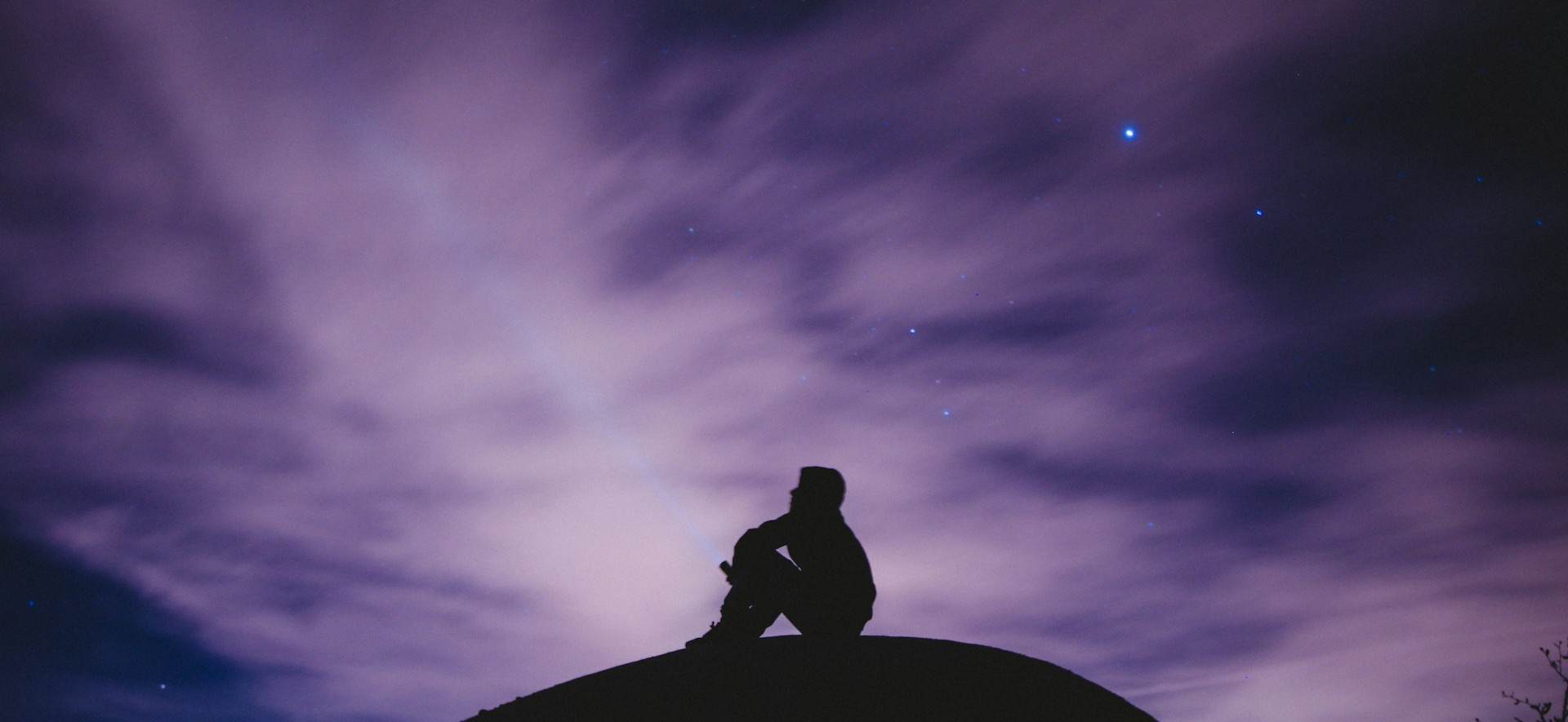 星の王子さま、ミュージカル