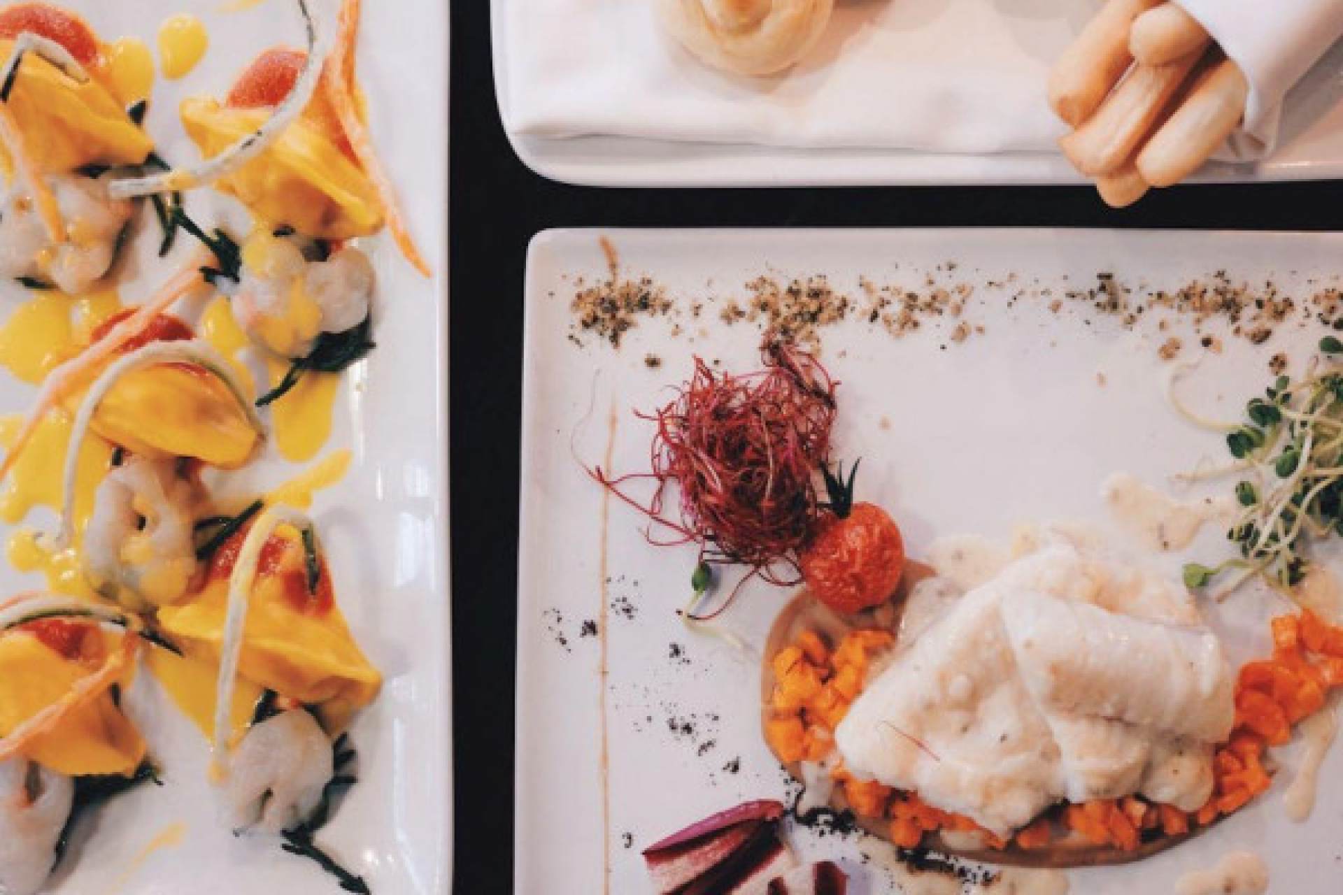 Wine Tasting and Dinner in Elegant Surroundings