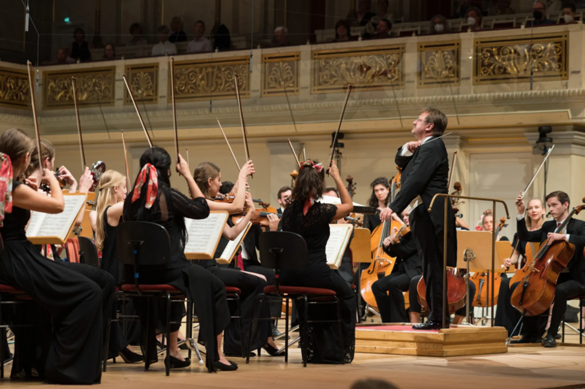 Orchestra Jeunesse din Viena