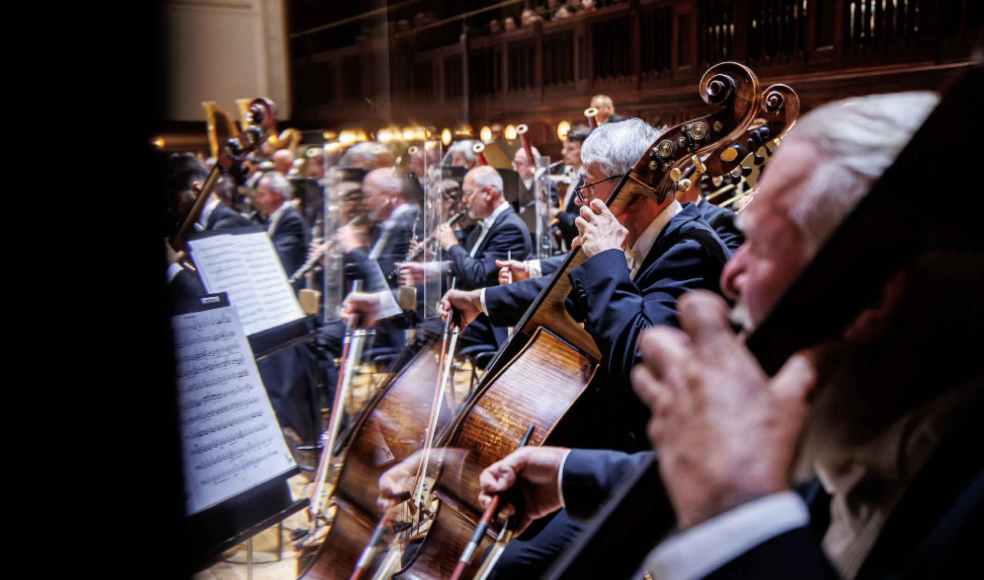 Барбара Ханниган