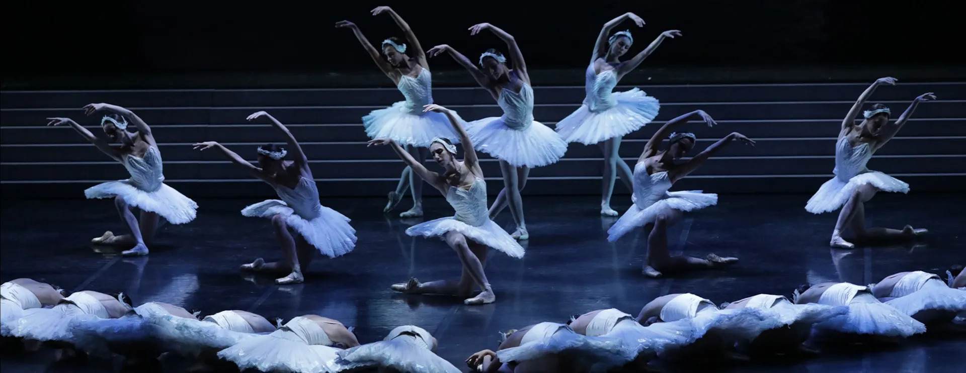 Swan Lake