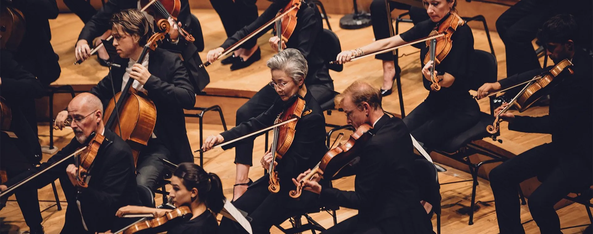 Portrait Of Orchestra