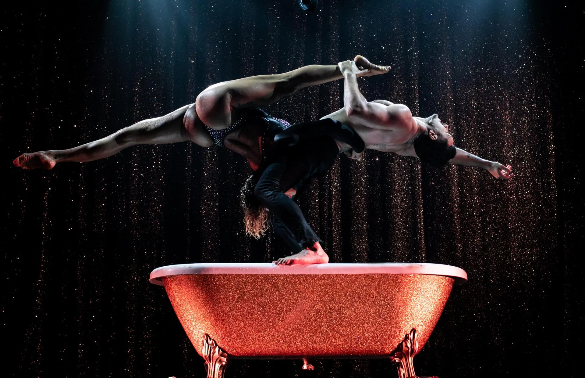 Paradis Latin Cabaret Shows