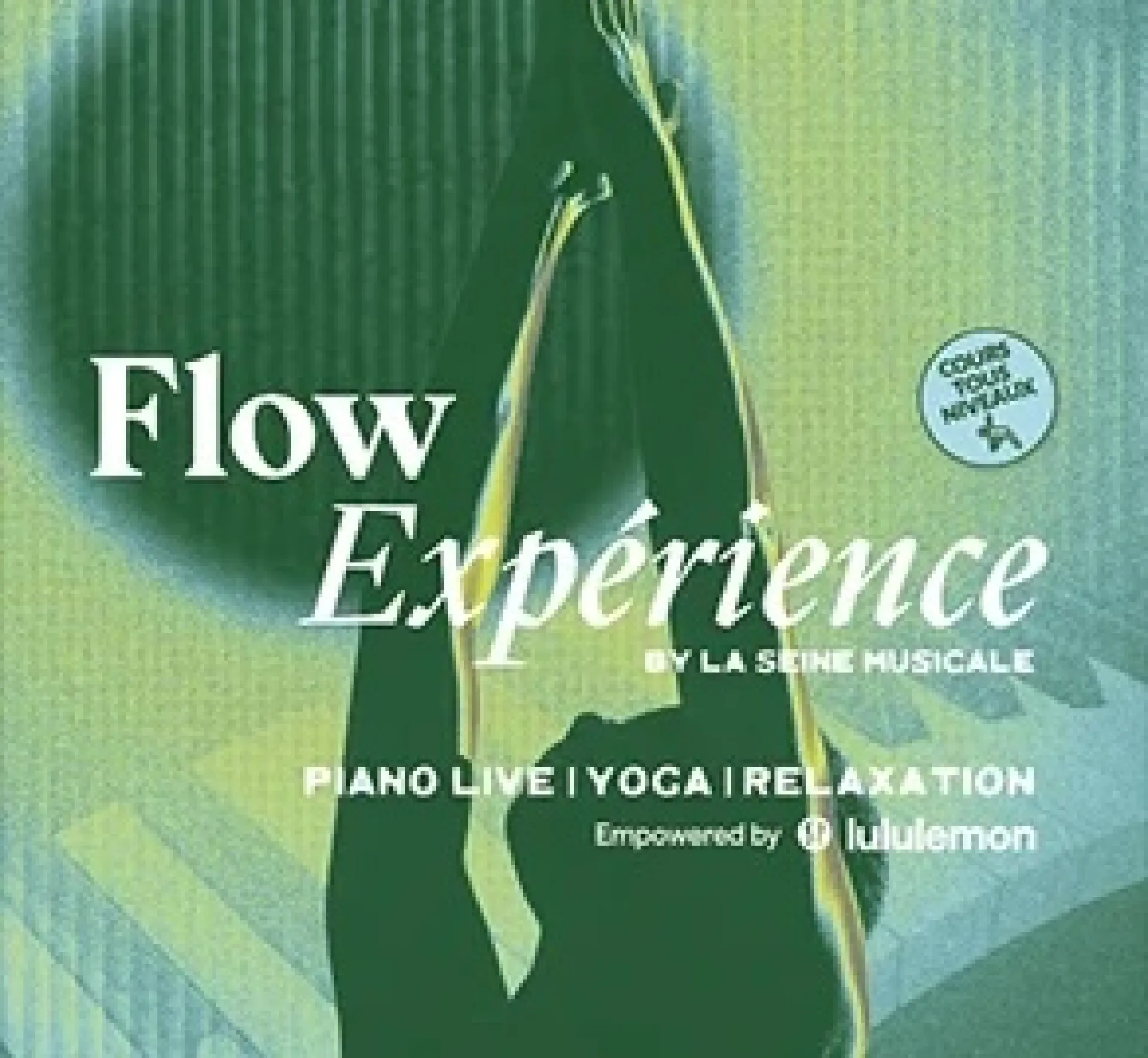 Flow Experience