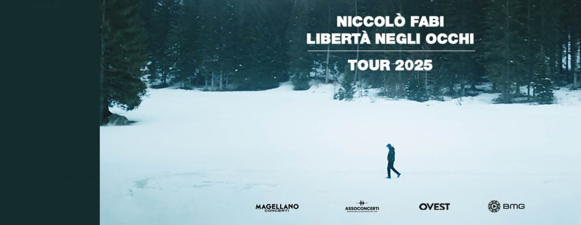 Niccolò Fabi