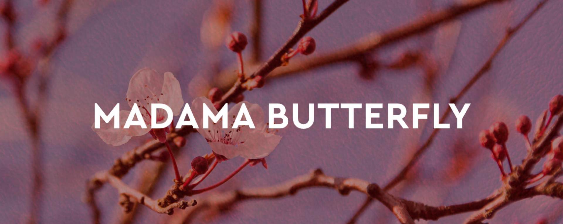 Madama Butterfly Puccini Festival 2026