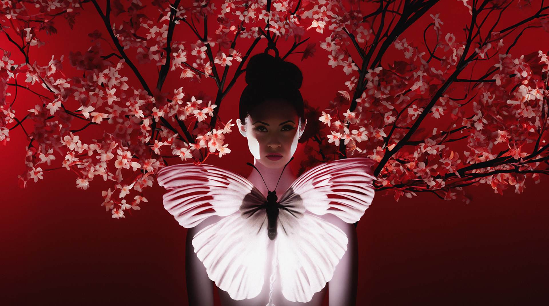 Madama Butterfly