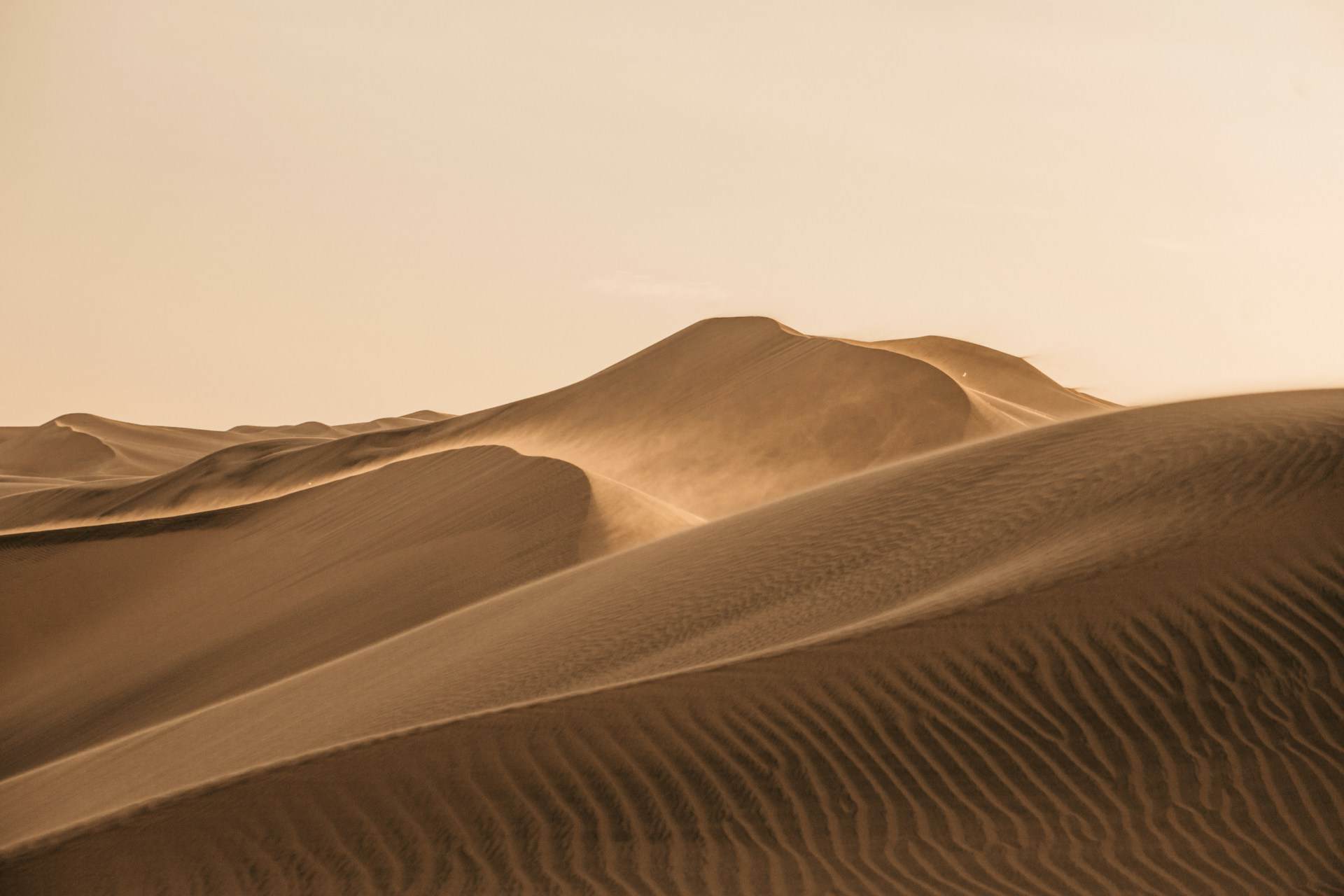 L´italiana in Algeri