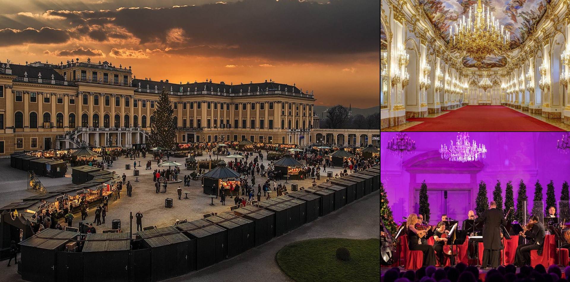 Marché de Noël, Visite du Palais et Concert