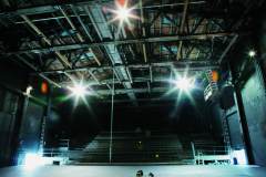 Perner-Insel, Hallein