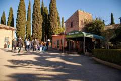 Catacombele Sfântului Calixt