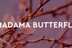 Madama Butterfly Puccini Festival 2026