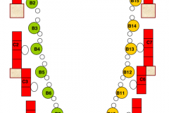 Seating Plan