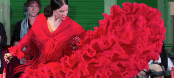 Spettacolo di flamenco a El Palacio Andaluz
