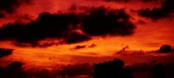 神曲、ミュージカルオペラ