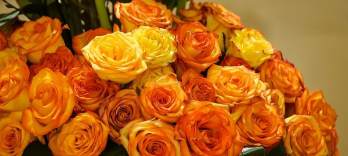  Цветочный бал Венских городских садов