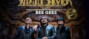 Night Fever, Трибьют Bee Gees