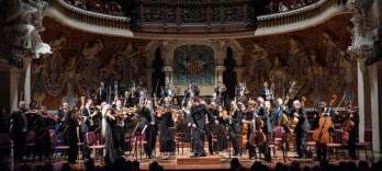 Valles Symphony Orchestra
