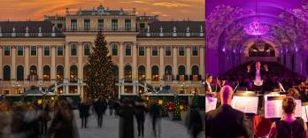 Târg de Crăciun și Concert - Palatul Schönbrunn