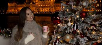 Crucero por los Mercados Navideños