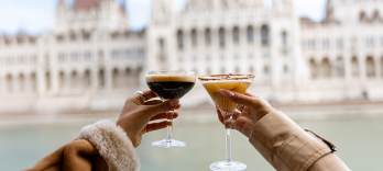 Коктейльный круиз по центру Будапешта