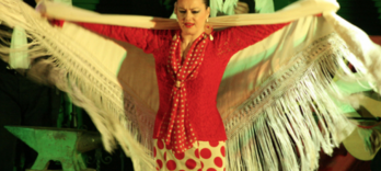 El Palacio Andaluz Spectacol de flamenco