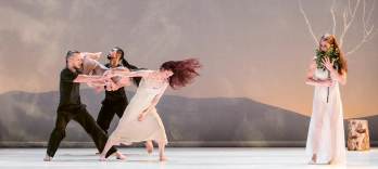 Carolyn Carlson Company