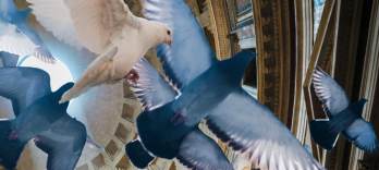 皇帝ティートの慈悲