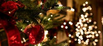 Рождество в Венеции 2025