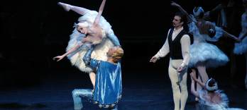 Иллюзии, как Лебединое озеро