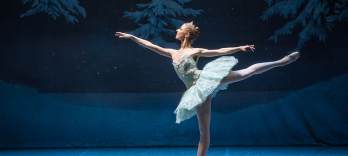 Der Nussknacker, Eine Weihnachtsgeschichte