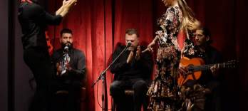 Flamenco Casa Sors Museum und Show