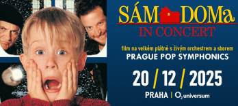 ホーム・アローン コンサート