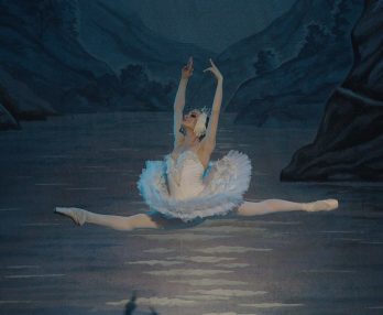 El Lago de los Cisnes