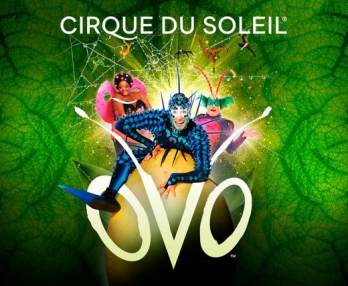 Cirque du Soleil Ovo Salzburg