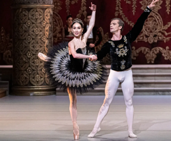 Лебединое озеро