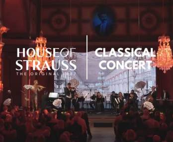 House of Strauss, Concert Show