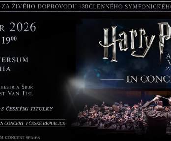 Harry Potter In Concert