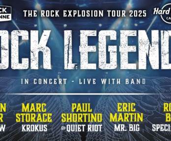 Легенды рока в концерте