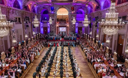 Wiener Ärzteball 2