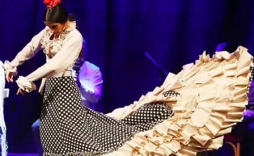 Flamenco show in Dalmases Palace
