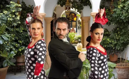 Arte Flamenco