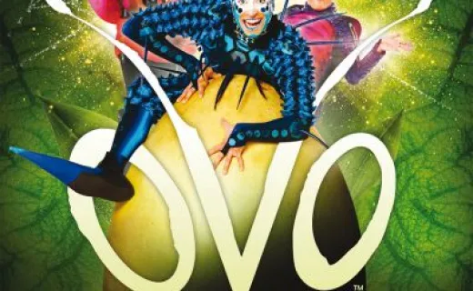 Cirque du Soleil OVO