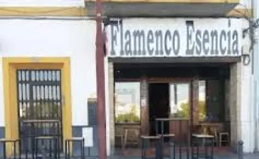 Flamenco Esencia