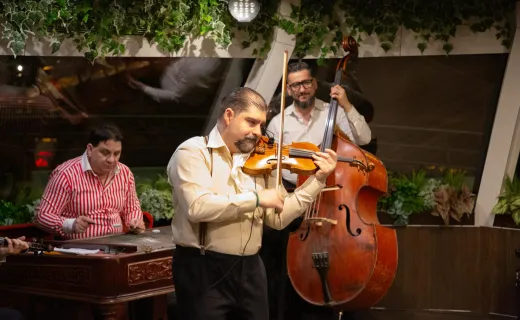 Budapest Dinner Cruise with Folklore and Operetta Show