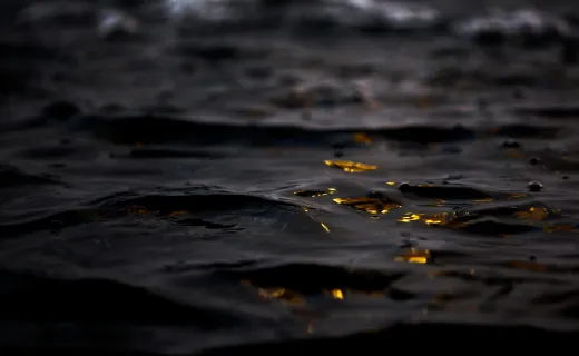 The Rhinegold