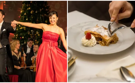 Schönbrunn Palace Vienna Dinner and Concert