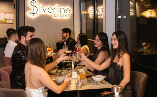 Cena y Luces en el Danubio