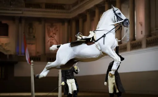 École d´équitation espagnole de Vienne